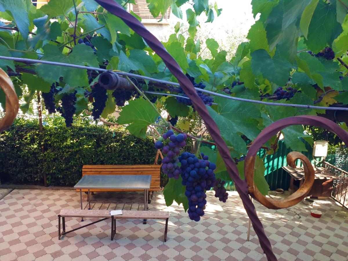 Guest House Lykhny Gagra Exterior photo