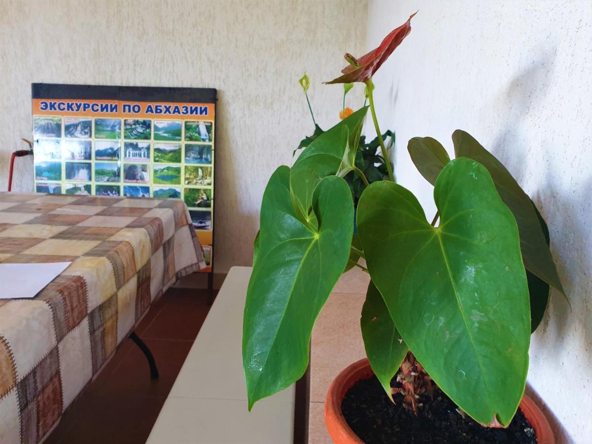 Guest House Lykhny Gagra Exterior photo